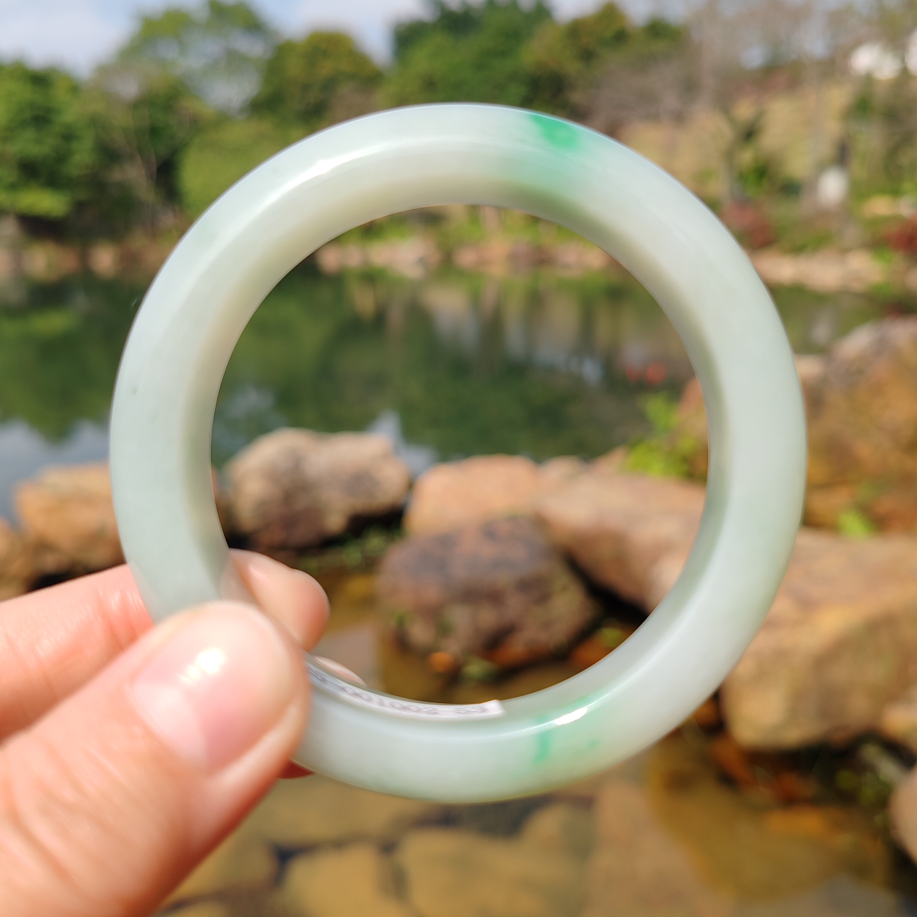 55圈天然缅甸翡翠A货绿底阳绿手镯冰糯种玉镯女款正品送女友妈妈