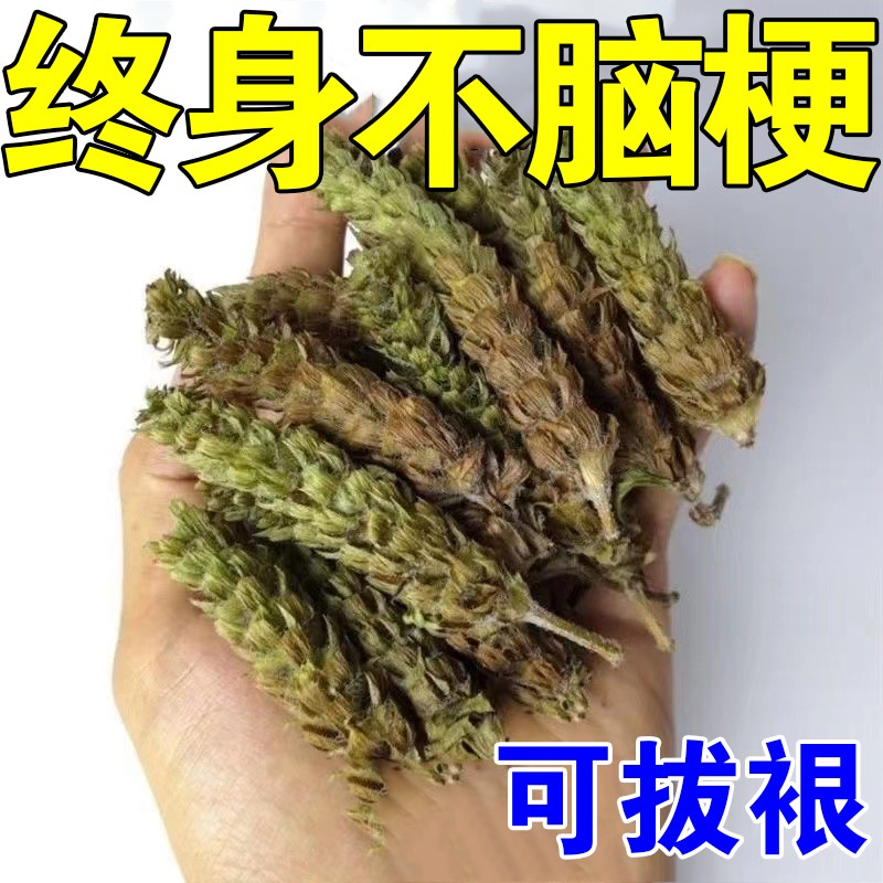 脑梗塞特效药100％消颈动脉斑块疏通血管堵塞中风康复训练材神器-封面