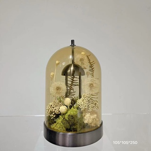 玺园白夜童话永生花蒲公英新特丽台灯新年情人节520生日礼物