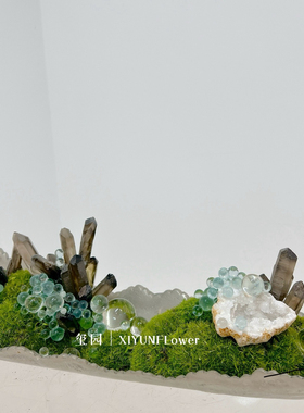 新款永生苔藓造景室内玄关花槽植物装饰美化遮挡微景观中式茶室