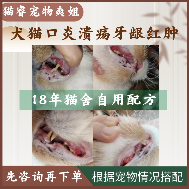 猫睿爽姐自制 猫口炎粉 猫狗口炎牙龈红肿烂嘴R流口水口臭牙龈炎