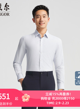 【商场同款】雅戈尔官方夏季新款商务男士浅灰长袖衬衫YLDP110784