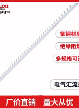 德力西汇流排空气开关接线排端子1P2P3P63ADPN漏电短路器接地紫铜