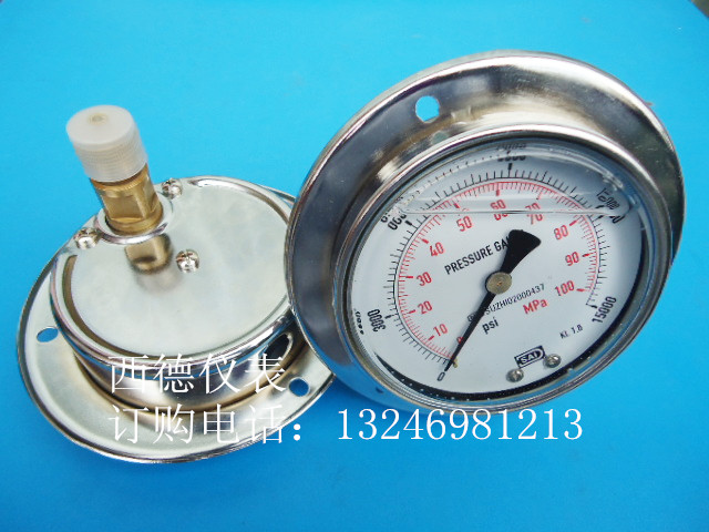 背式带边压力表充油防震
