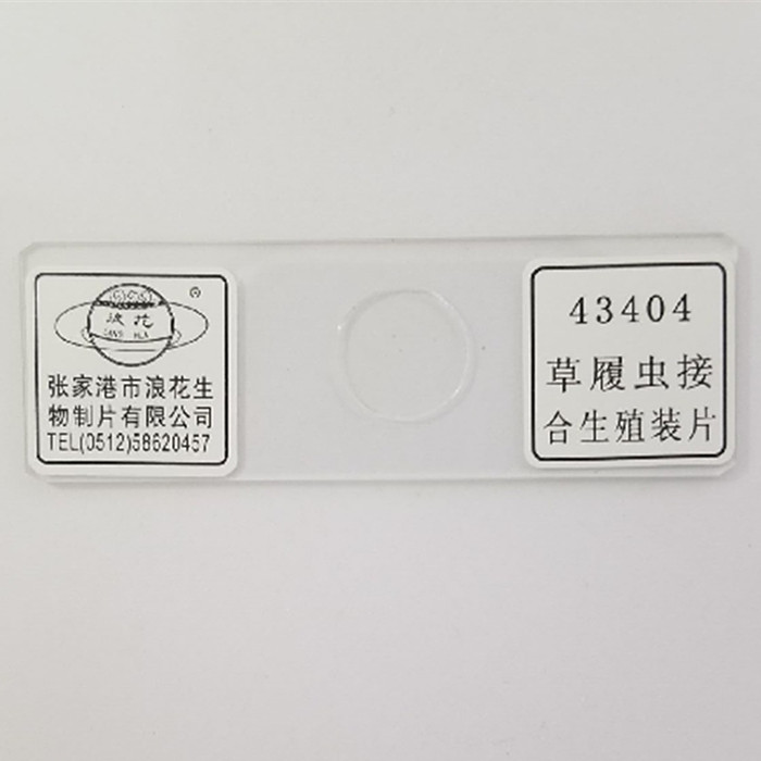浪花牌切片 43404草履虫接合生殖装片 生物显微镜切片涂片