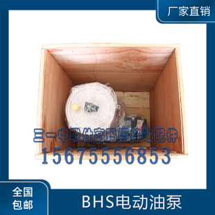 柱塞浓油泵 BHS搅拌机电动油泵 黄油泵泵芯BHS搅拌主机润滑油脂泵