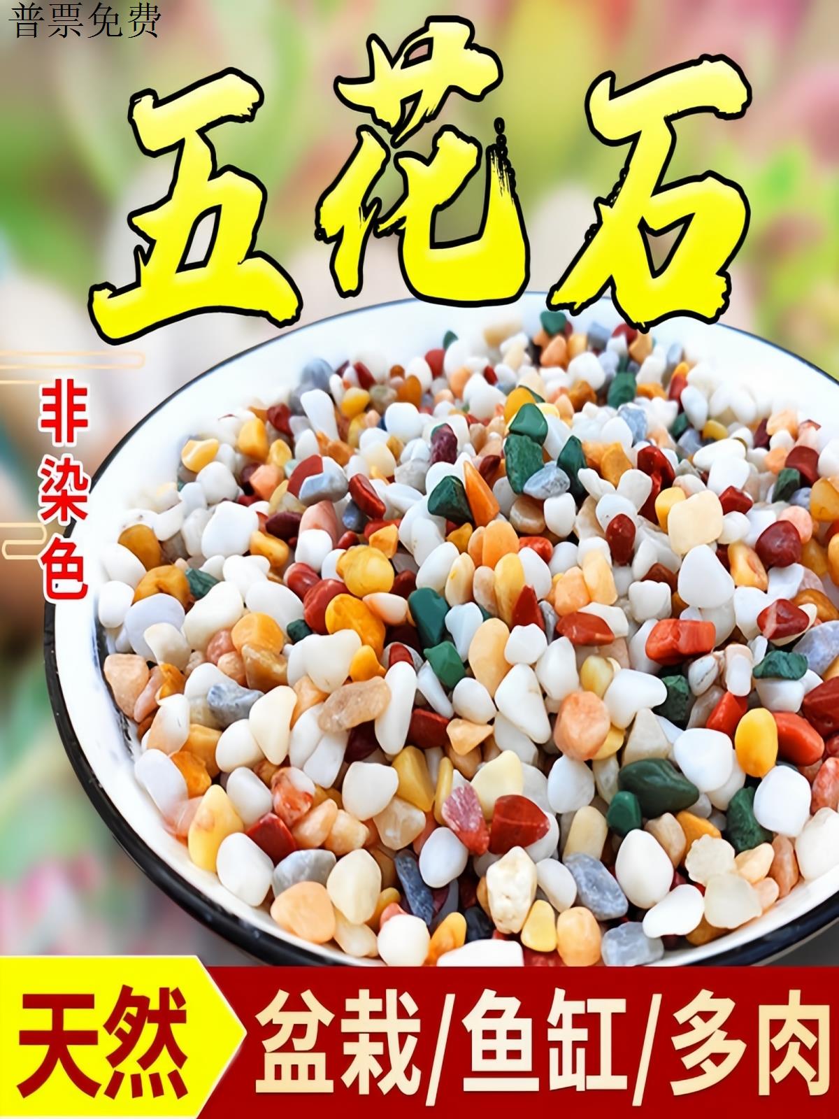 天然彩石多肉盆栽铺面子