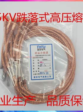 户外跌落式熔断器高压熔丝PRWG2 RW5-35KV/100A高压保险丝国标