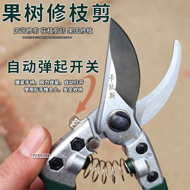 台湾修枝剪果树剪刀树枝园艺剪修花工具修果树果园园林修剪粗枝剪
