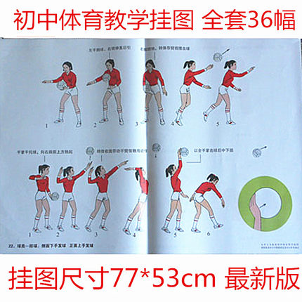 初中体育教学挂图36幅/套 对开铜版纸77*53cm 人教版 教学仪器