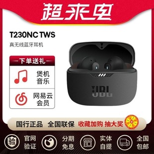 JBL 降噪运动防水运动音乐耳塞适用 T230NC TWS无线蓝牙耳机入耳式