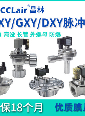 1.5/2.5/3寸76S防爆AXY直角89S淹没DXY脉冲阀GXY-Z-Y-25/40/50/62