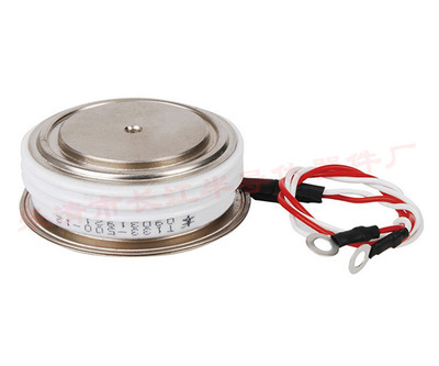 正品上海中科平板式可控