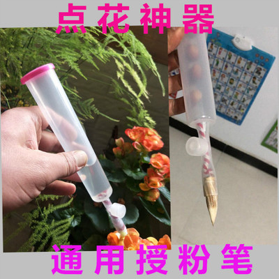 番茄点花笔人工沾黄瓜子