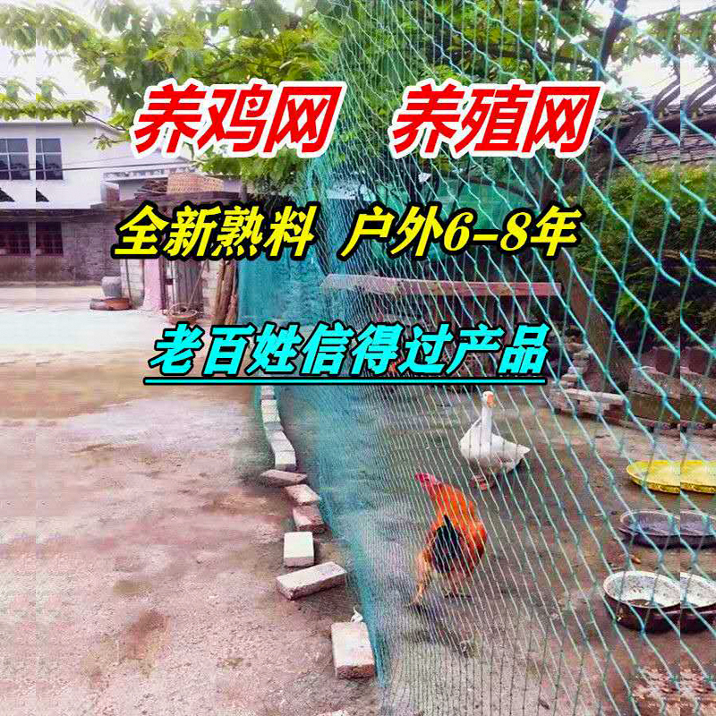 塑料网拦鸡户外尼龙安全
