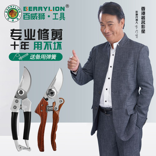 百威狮剪枝弹簧园林花艺