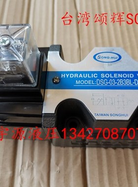 DSG-03-2B3BL-DL DSG-03-2B3BL-LW AC220 DC24 液压电磁阀SONGHUI