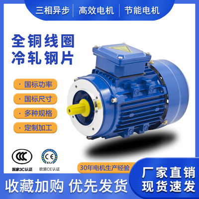 YE3-100L2-4高效节能电机3KW/380V三相低压电动机YE3-100L1-4电机