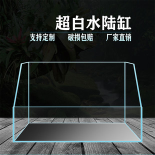 水陆缸造景套餐超白鱼缸原生态缸两栖乌龟缸微景观植物热带雨林缸