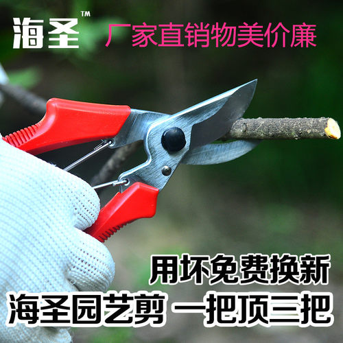 新款园艺剪刀进口果树花