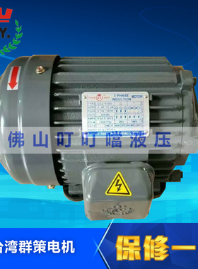 原装台湾群策电机 CHYUN TSEH 专用电机 15HP-4P 11KW C15-43B0