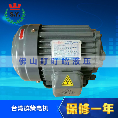 TRADE S.Y MARK 台湾群策 电机 内轴电机 15KW C20-43B0 20HP 4P