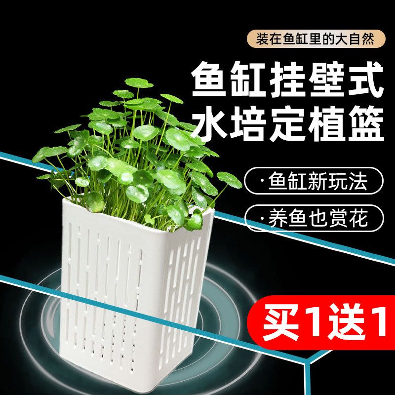 水培固定篮鱼缸水草挂壁式定植篮家用种植杯龟缸植物造景装饰托架