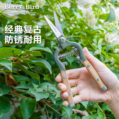 园艺森林鲜花绿植修剪工