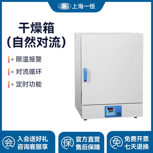 9091A自然对流电热恒温干燥箱 9051A 一恒DHG 9031A