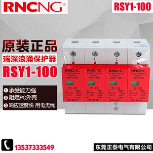 RSY1 浪涌保护器 瑞深 防雷器光伏家用避雷器 100KP 100 RNCNG