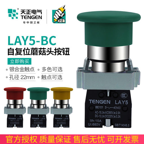 TENGEN天正 LAY5-BC35/45/31/41蘑菇头按钮开关NP2自复位红绿22孔