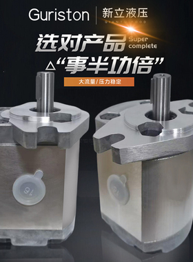 齿轮泵P101/P102/P104/P105/P106/P107/P109/P127/P135RP01GT油泵