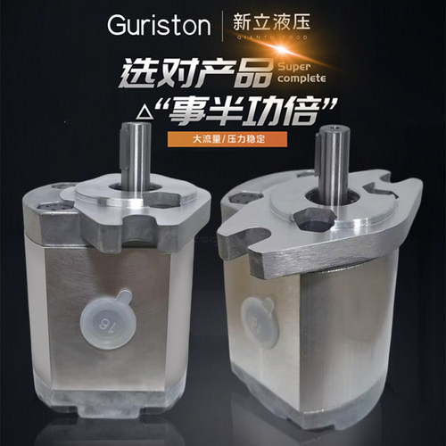 齿轮泵P101/P102/P104/P105/P106/P107/P109/P127/P135RP01GT油泵