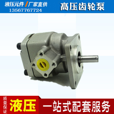 2A高压齿轮泵液压油泵GPY-12R/3/4/5.8/6/7/8/9/10/11/11.5R RX4B