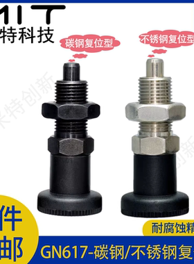 旋钮柱塞冈特复位/自锁分度销GN617弹簧止动销分割MT305F/MT307F