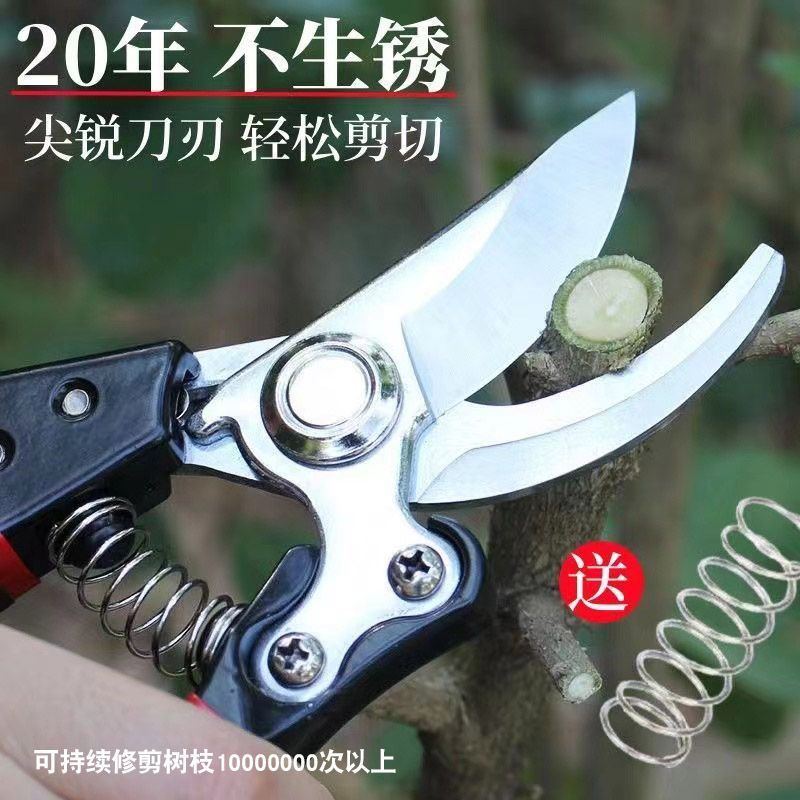 修枝剪树枝专用剪子剪枝剪刀果树剪修枝剪粗枝剪树枝剪花艺剪工具图片