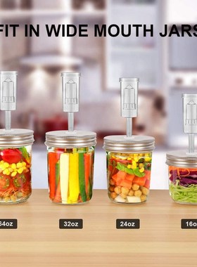 Wide Mouth Mason Jar Set wirh Fermentation Lid and Airlock H