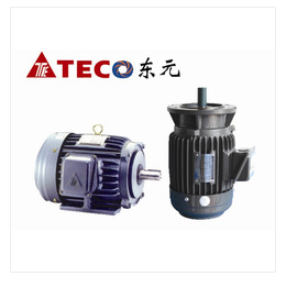 TEC0东元三相异步电动机三相变频电机370KW-380V6级卧室立式AEVF