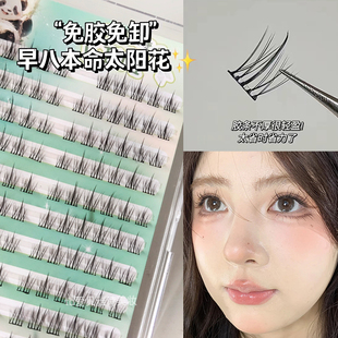 EIYI免胶水太阳花假睫毛贴女自然仿真懒人三部曲自粘单簇眼睫毛书