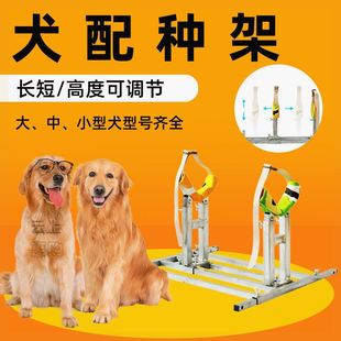 小型犬用交配架法斗泰迪柯基配狗支架柴犬配狗架子固定狗狗配种架