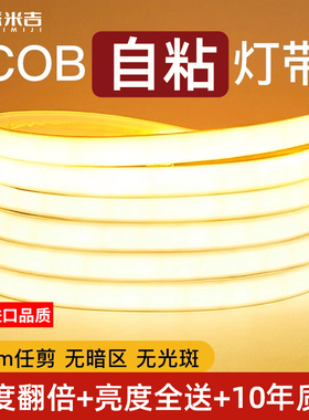 220v自粘灯带超亮特亮强光家用客厅吊顶户外防水工程照明COB灯条