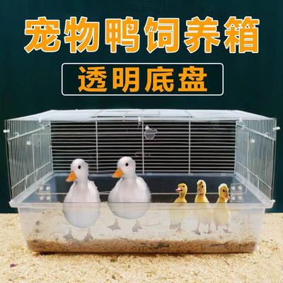 柯尔鸭笼子防喷尿芦丁鸡