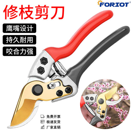 剪刀花草工具户外果树修