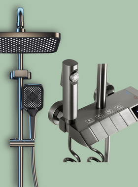 Gun gray all copper digital display constant temperature sh