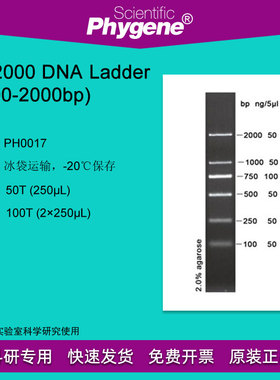 PH0017 DL2000 DNA Ladder (100-2000bp) 100T DNA Marker