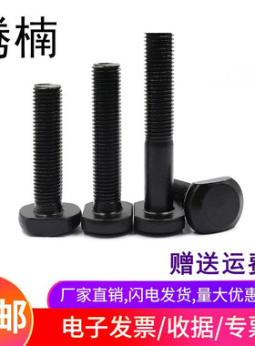 腾楠45#钢T型螺丝M10M12M16M20-M30冲床铣床T形模具压板螺杆螺栓