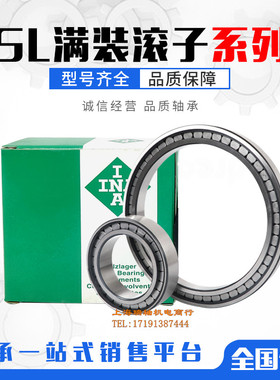 INA F-202577 F-202972 F-202168 F205045 F-204045液压泵主轴承