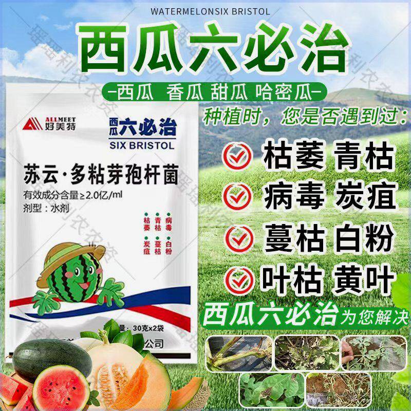 西瓜六必治叶面肥甜瓜哈密瓜黄叶枯萎青枯赤斑蔓枯炭疽专用