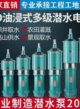 德国进口QD多级潜水泵220v家用农用灌溉高扬程大流量深井一寸两寸