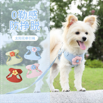 狗牵引绳幼犬遛猫子小型